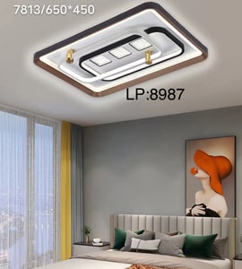 small ceiling light
